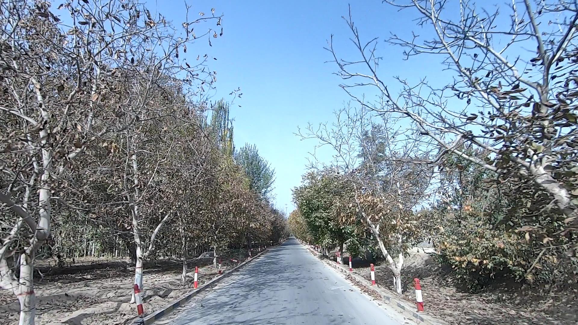 那拉提五月底旅游费用_那拉提 旅游