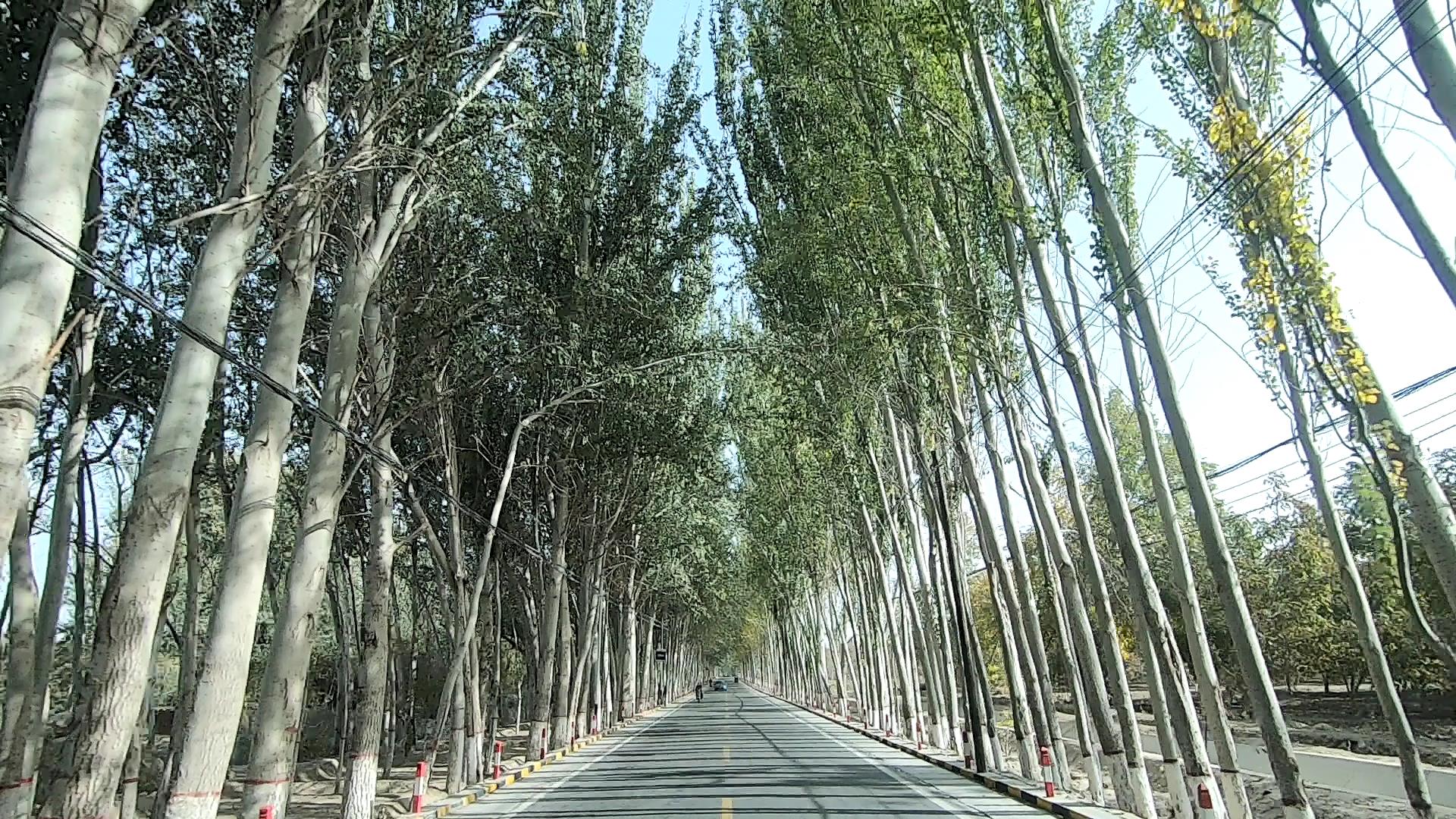 那拉提旅行地_那拉提 旅游