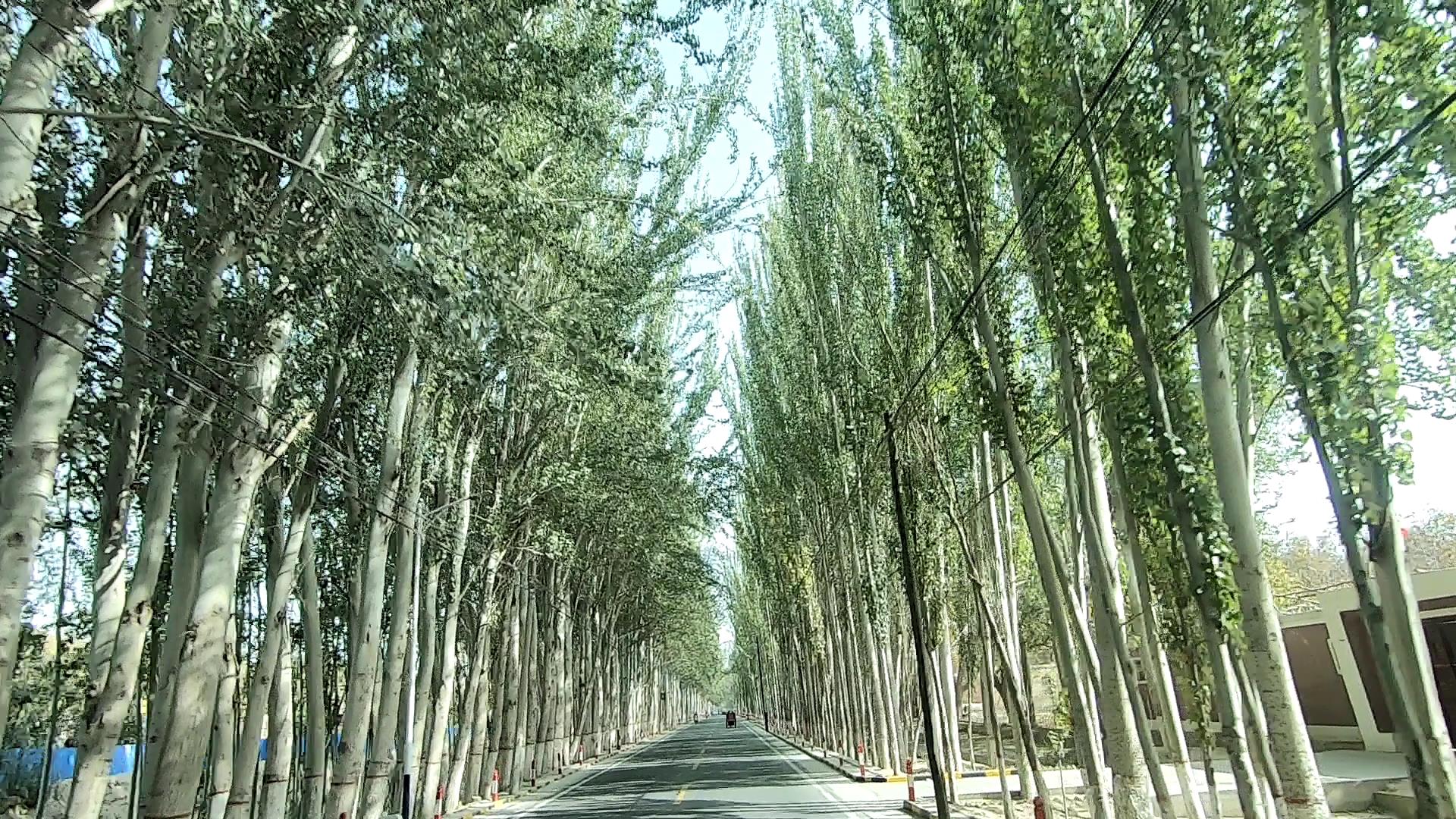 旅行团喀什价格_旅行团喀什价格多少