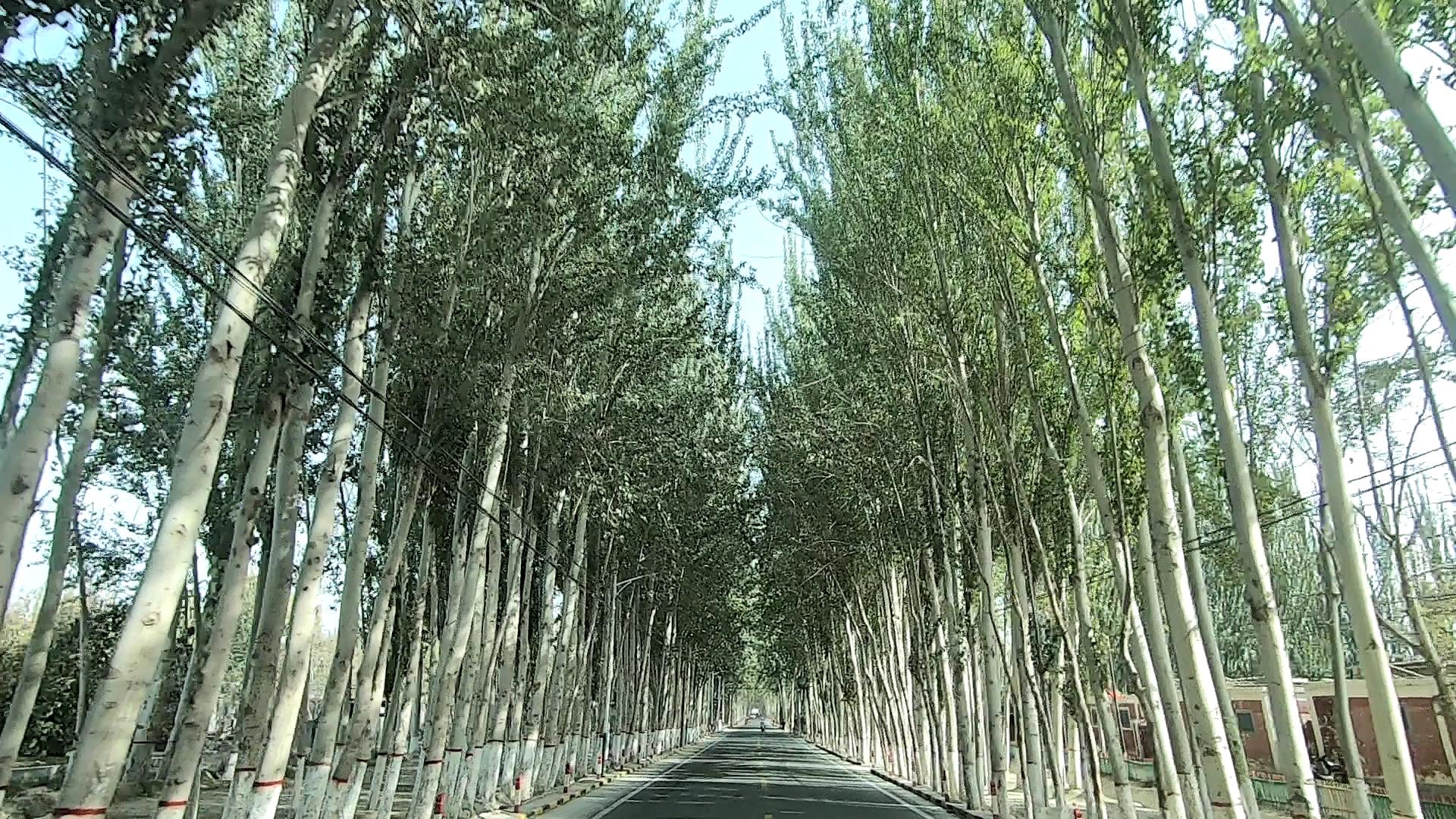 喀纳斯旅线路_喀纳斯旅行线路
