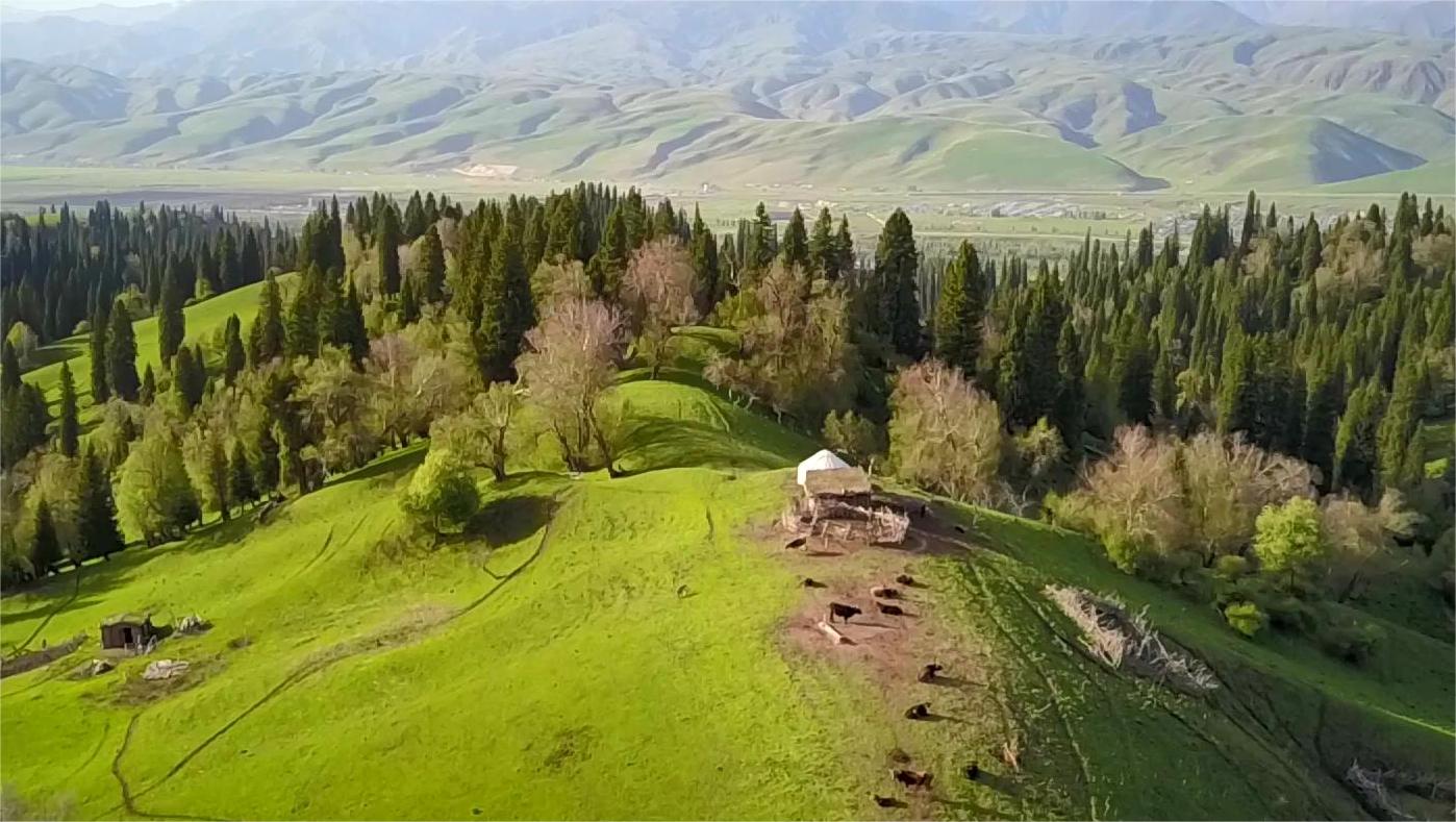 现在新疆哪里适合旅游_现在新疆哪里适合旅游呢
