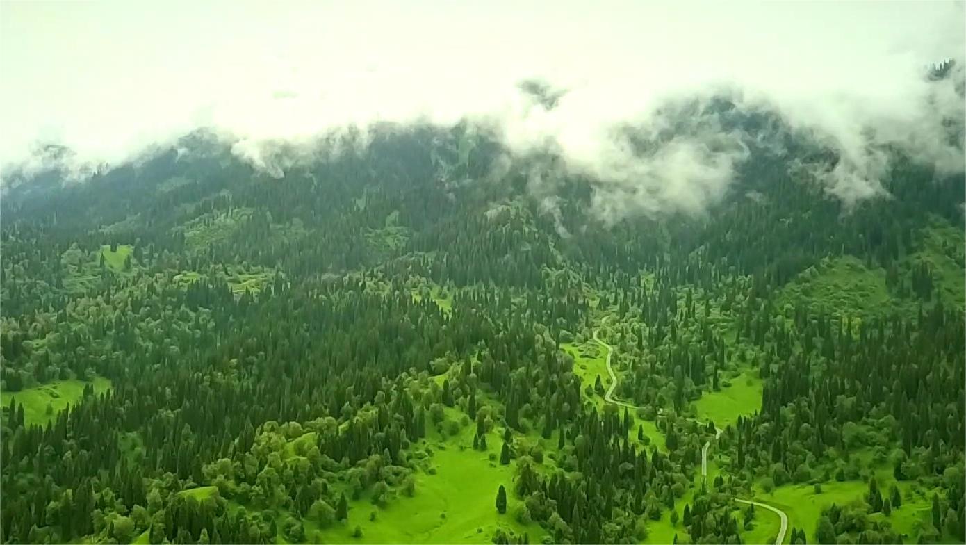 新疆最好的旅游地_新疆最好的旅游地方