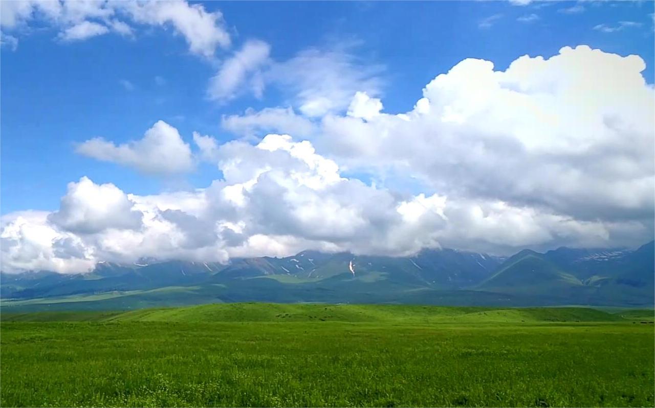 新疆旅游社当地_新疆旅游社当地人多吗
